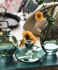 Cezanne Glass Vase Set