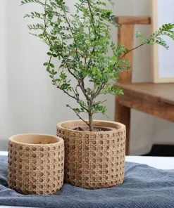 Natural Rattan Texture Cement Planter