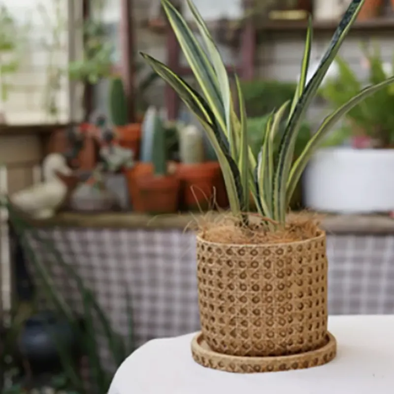 Natural Rattan Texture Cement Planter - Image 3