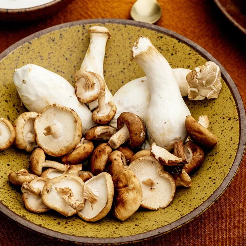 Harvest Stoneware Plates & Bowls - Image 3