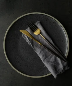 Carbon Ceramic Dinner Plates