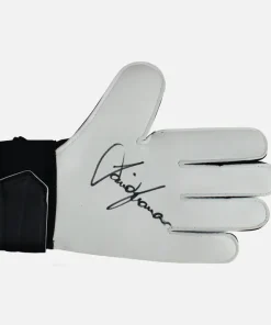 David Seaman Signed Goalkeepers Glove Arsenal [Left]
