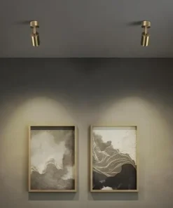 Golden Artisan Cove Series - Spotlight