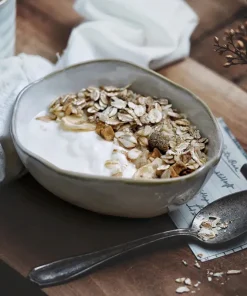 Pearl Ceramic Porcelain Dinner Bowl