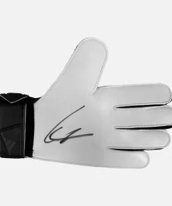 Lukasz Fabianski Signed Goalkeepers Glove West Ham [Left]