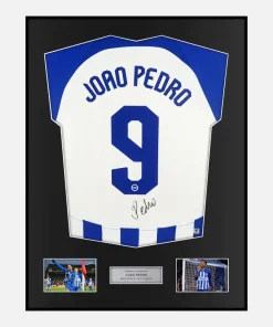 Framed Joao Pedro Signed Brighton Shirt Home 2023-24 [Classic]