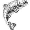 Bisley Pewter Pin Badge 38 Trout