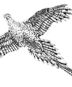 Bisley Pewter Pin No.9 High Pheasant
