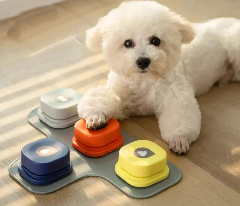 Pet Speak Training Buttons Set - Image 3