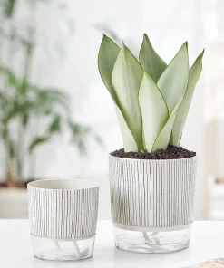Evergreen Flow Self-Watering Planter