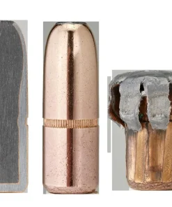 Hornady 375 cal .375 300 gr DGX® Bonded