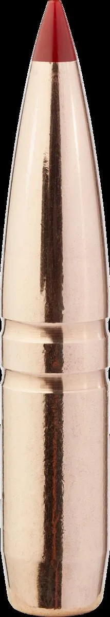 Hornady 7mm .284 160 gr. CX™