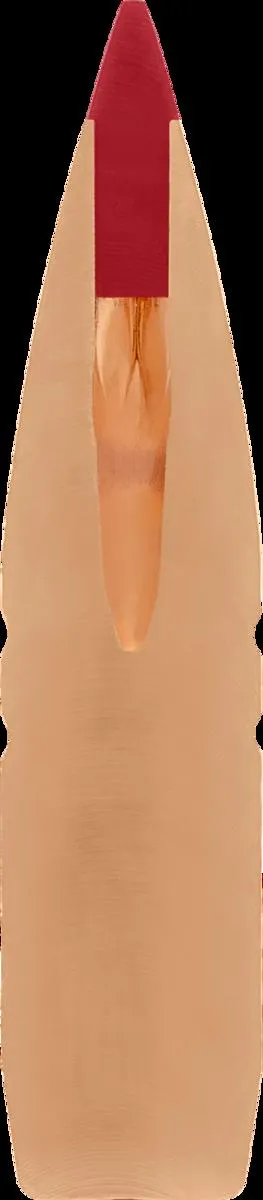 Hornady 7mm .284 160 gr. CX™ - Image 3