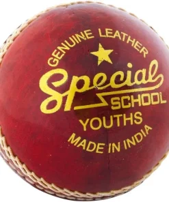 READERS SPECIAL SCHOOL CRICKET BALL YOUTH