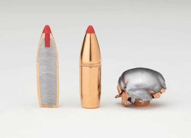 Hornady 45 Cal .452 250 gr FTX® (450 Bushmaster) - Image 2