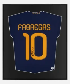 Framed Fabregas Signed Spain Shirt 2010 World Cup Final [Lite]