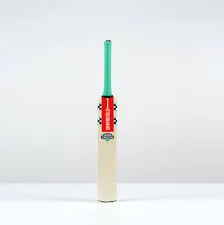 GRAY NICOLLS VENTUS 1.0 WARRIOR PP CRICKET BAT