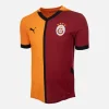 2024-25 Galatasaray Home Shirt [New] S