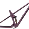 Transition Spur Carbon Frame 2025 - Blackberry