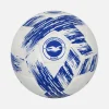 Brighton & Hove Albion Football Blue/White Ball [New]