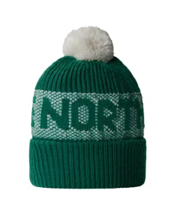 The North Face Unisex Beanie Retro Cabin Evergreen/White