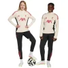 Adidas Liverpool FC Youth Pants Training 25/26 Home