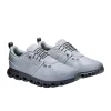 On Mens Trainer Cloud 6 WP Alloy/Wolf