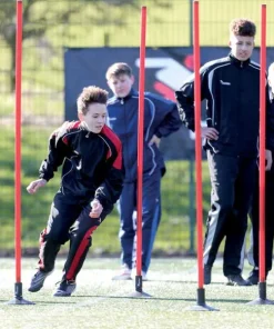 Boundary Poles (Set of 12)