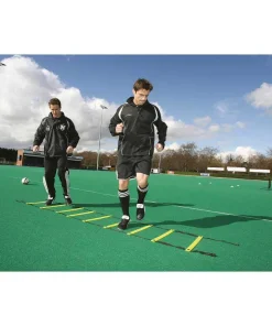 4 Metre Adjustable Speed Ladder