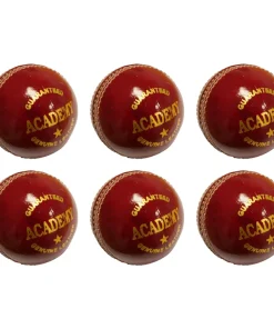 Salamander Academy Cricket Ball Box of 6