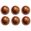 Salamander County Special Cricket Ball Box of 6