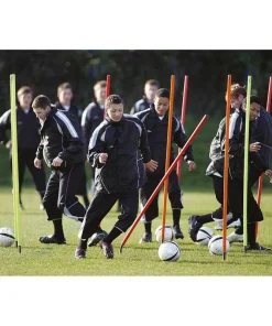 Spring-Base Boundary Poles