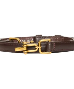 Ichi Womens Belt 20124825 Coffee Bean