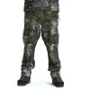 Kryptek Dalibor III Pant