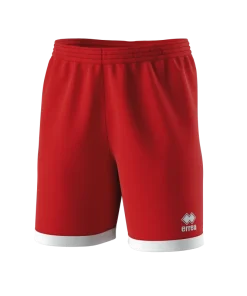 Barney Shorts in Adult