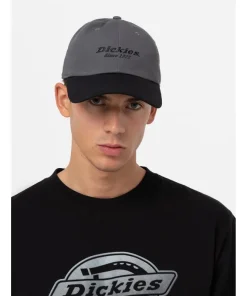 Dickies Everyday Dickies Twill Cotton Cap Graphite