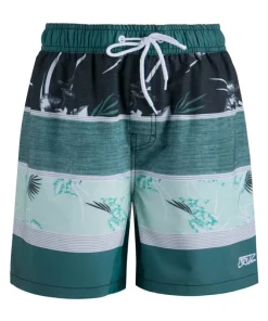 Cruz Coleman Mens Boardshorts: Pacific