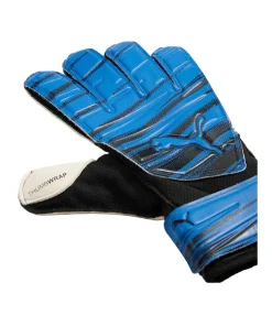 Puma Goalkeeper Gloves 42090 Blue