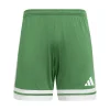 Squadra 25 Shorts Junior