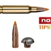 Norma .243 Tipstrike 76gr (4.9g) 20pk