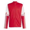 Squadra 25 Training Jacket Junior