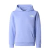 North Face Teen Simple Dome Light Reg Hoodie Periwinkle Glow