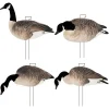 Final Approach FA-23-370-01 Last Pass Honker Silhouette Decoys - 12 Pack