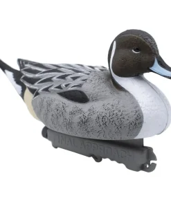 Final Approach FA-233520 Last Pass Pintail - 12 Pack