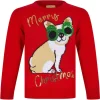 Christmas Glasses Dog Junior Christmas Jumper - Red