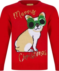 Christmas Glasses Dog Junior Christmas Jumper - Red