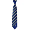 Royal Grammar School Tie Windsor: Sapphire/Yellow