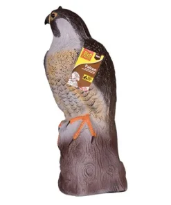 BIG CHEESE Falcon Decoy