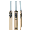 Gunn & Moore B5SS DXM 606 TTNOW Cricket Bat