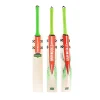 Gray Nicolls Havoc Gen 1.3 GN350 Cricket Bat
